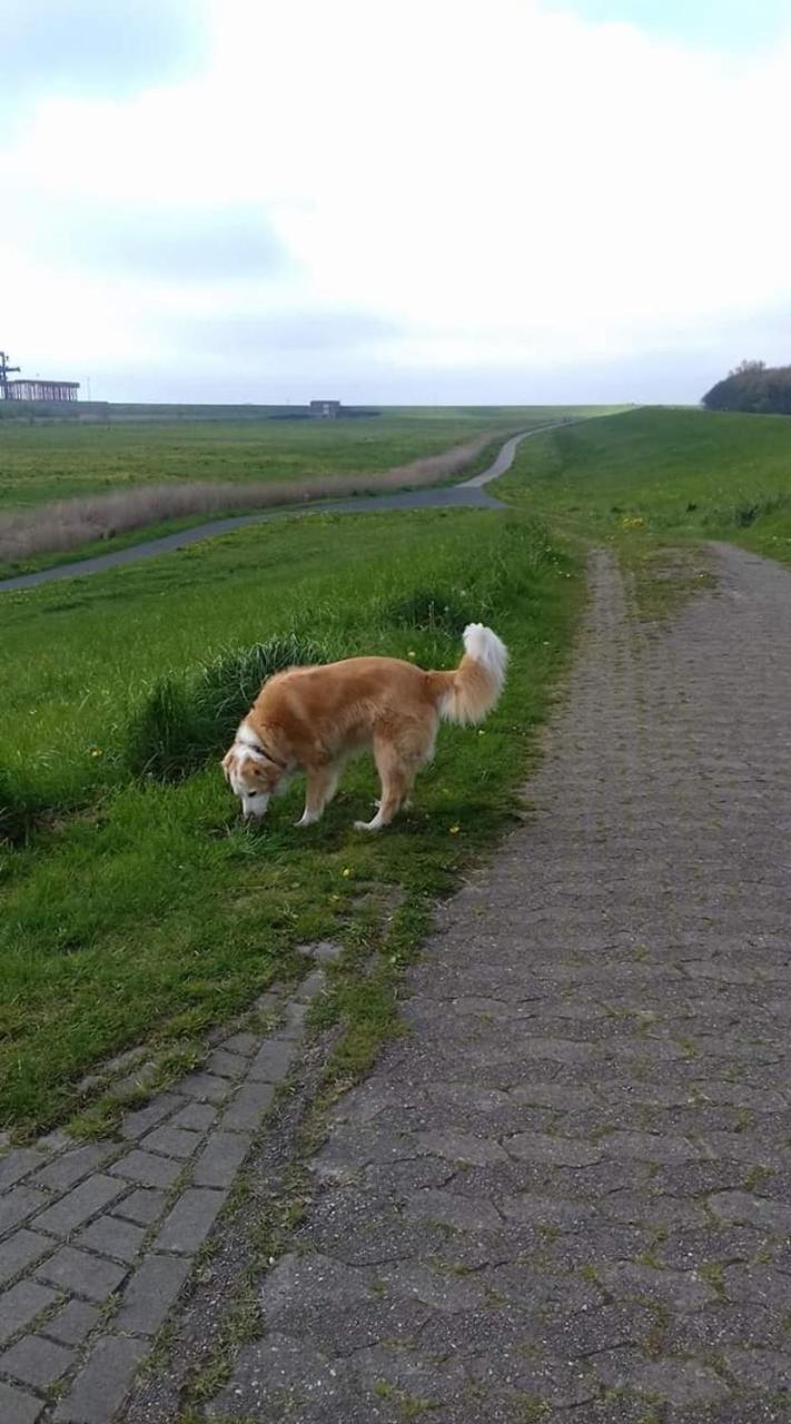 Fewo Kroker Bremerhaven Zewnętrze zdjęcie